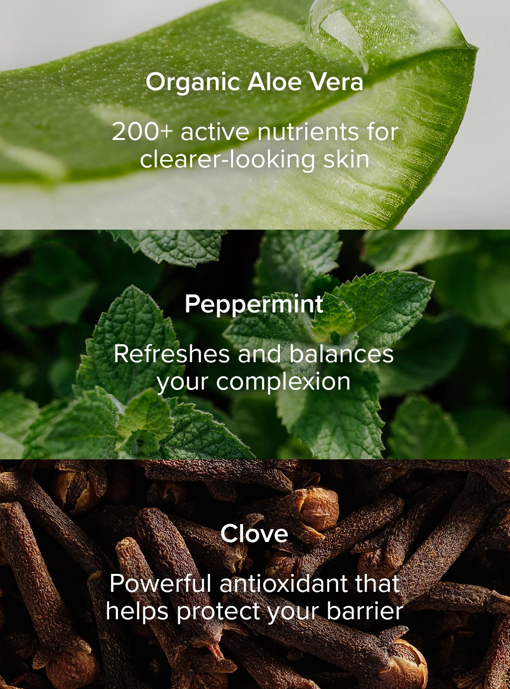 95% Aloe Hydrating key ingredients infographic - organic aloe vera, peppermint, clove