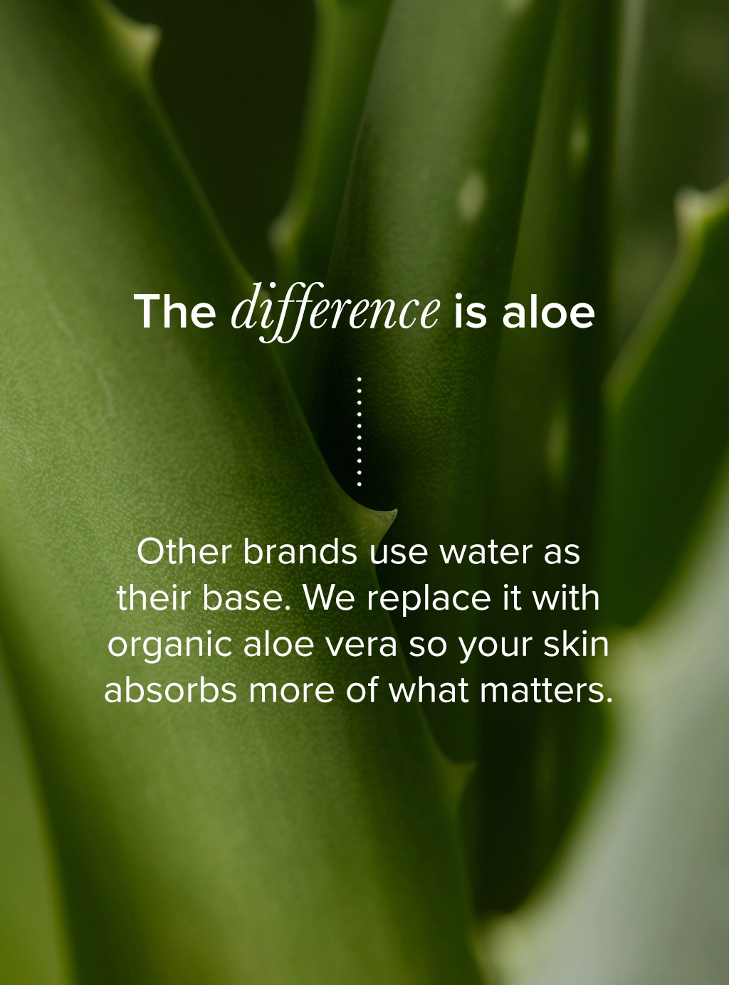 The difference is aloe