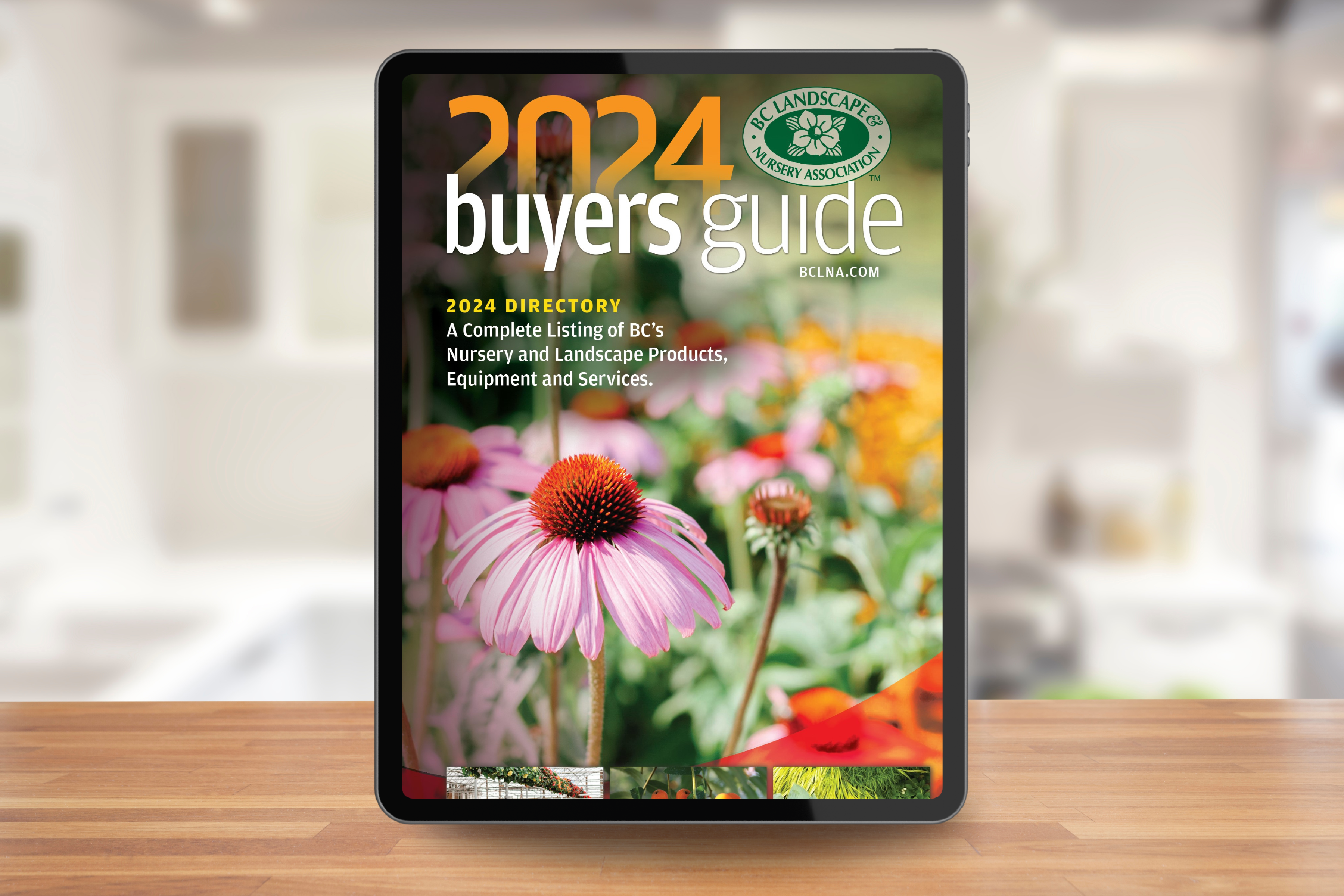 Buyer's Guide Image