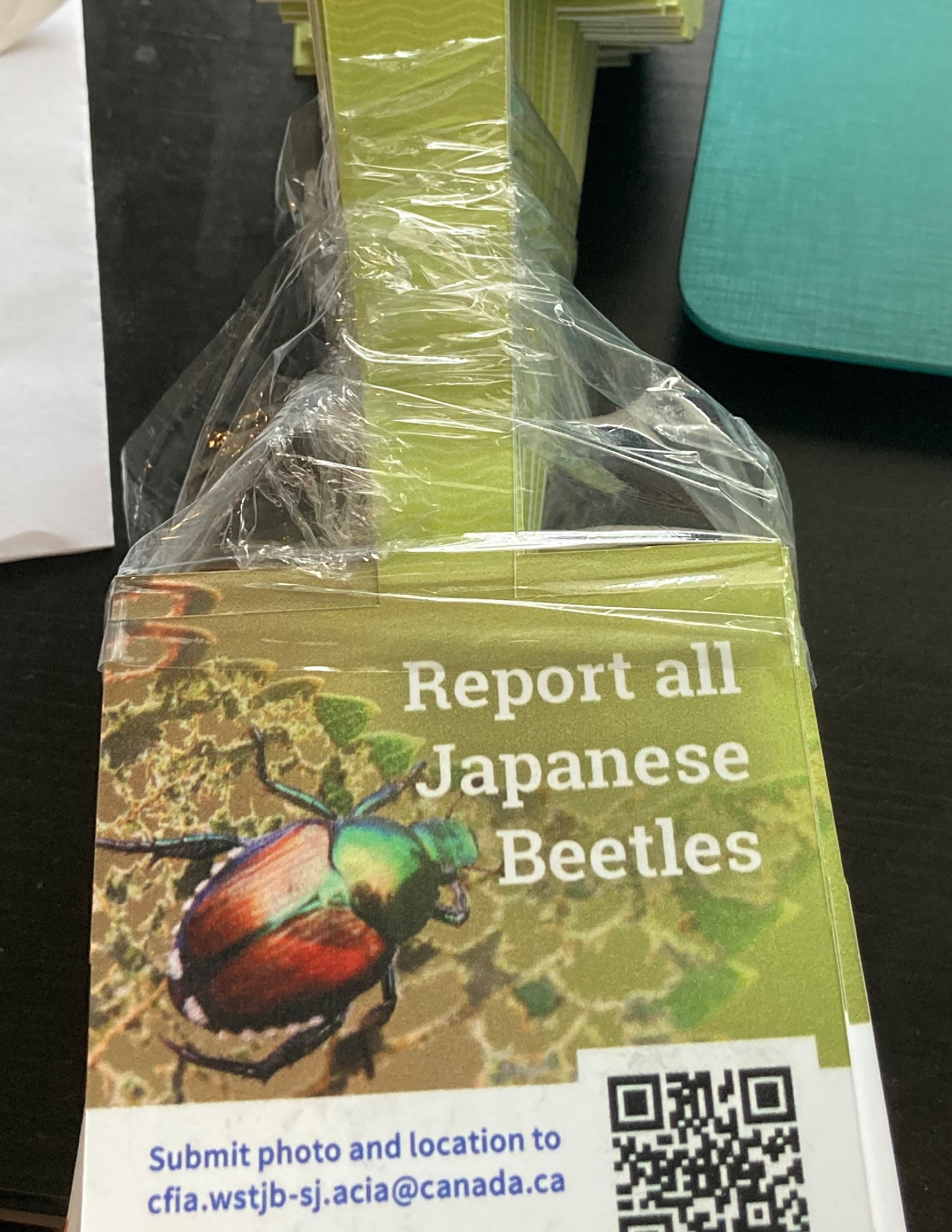 Japanese beetle shelf sign example