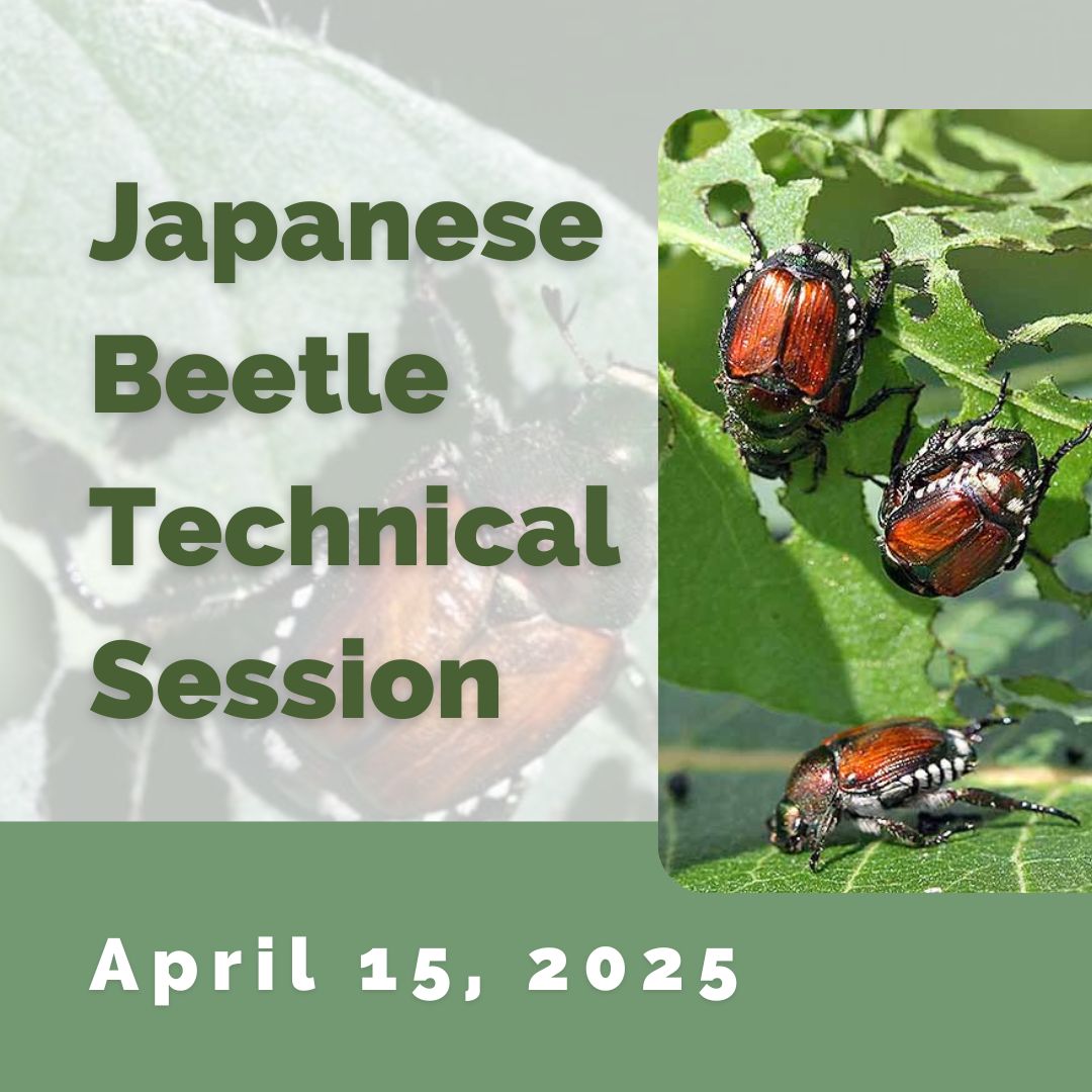 2025 Japanese Beetle Technical Session