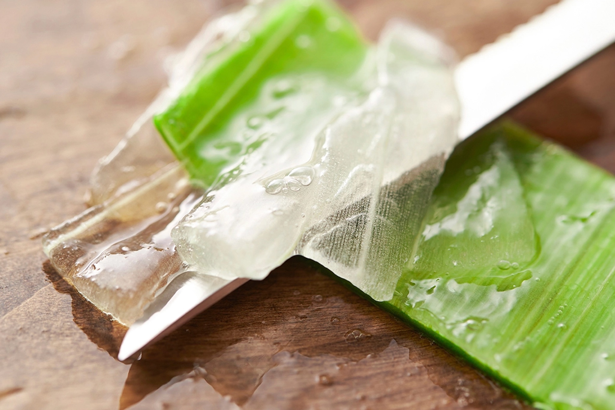 Close-up of aloe vera gel being sliced from the inner leaf