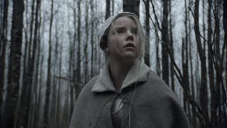 Image forThe Witch