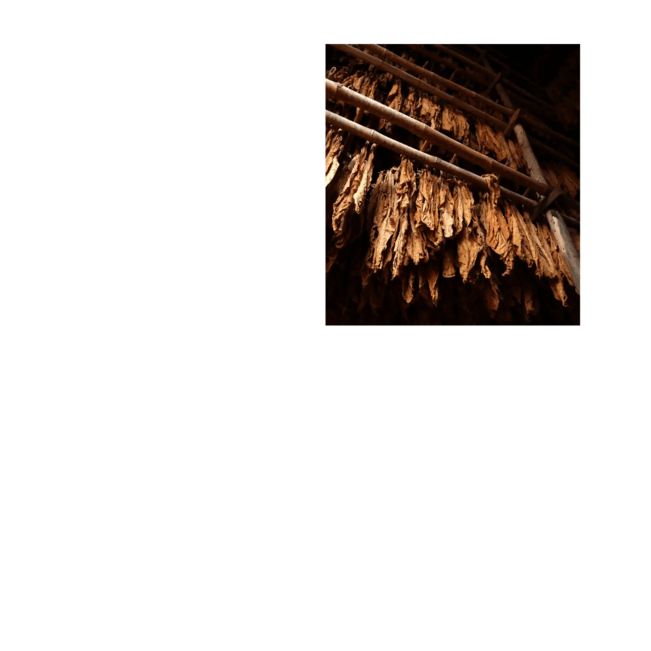 Project 40 Blend breakdown image