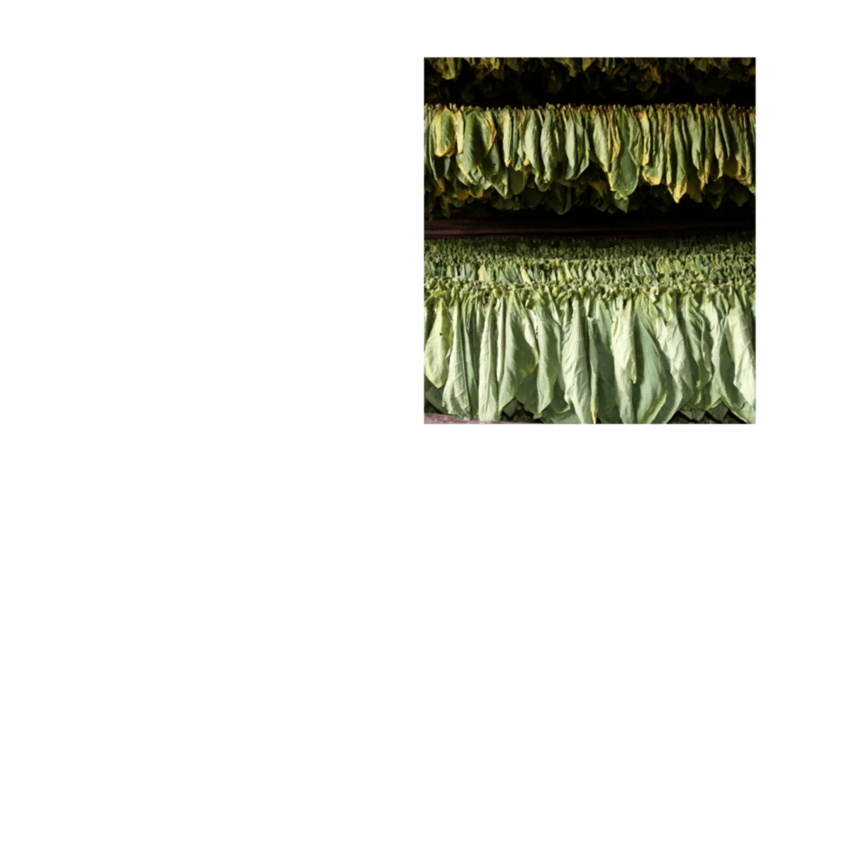 Chunk Sumatra Blend breakdown image