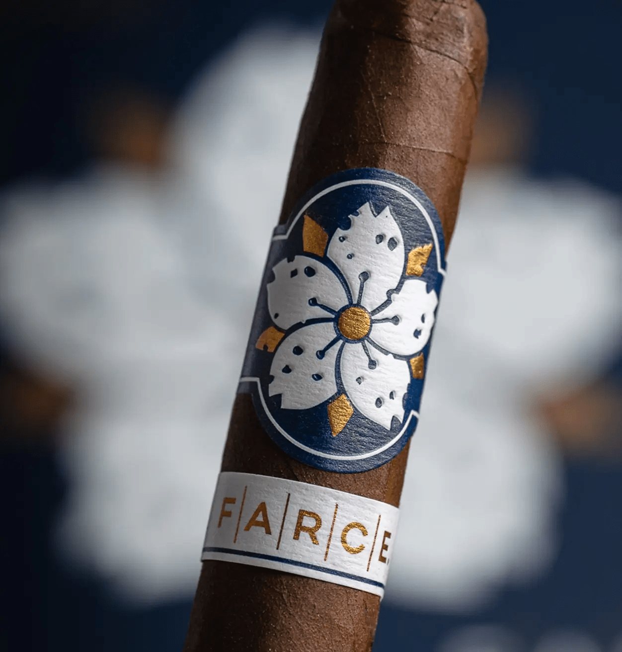 Farce Maduro Hero Image