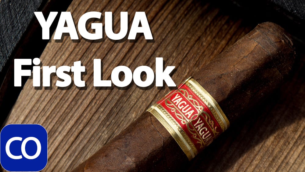 J.C. Newman YAGUA First Look Featured Image