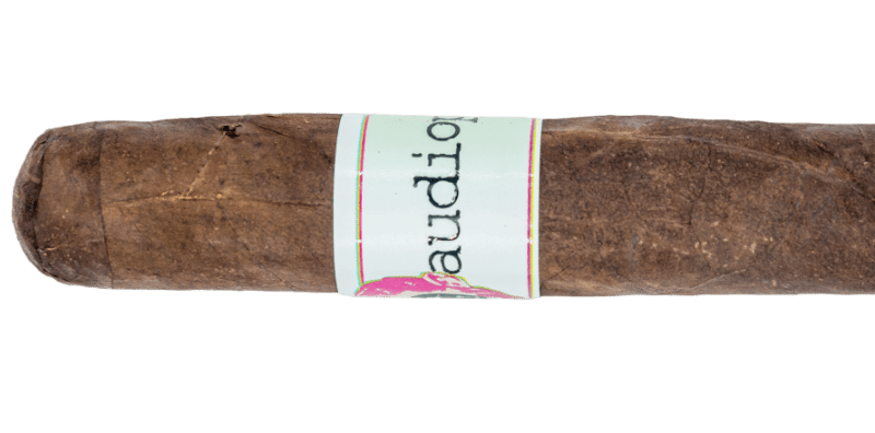 Emilio audiophile Toro – Blind Cigar Review Image