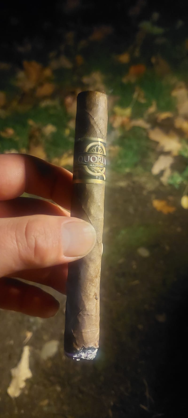 17006222665804377886411231164551 v2