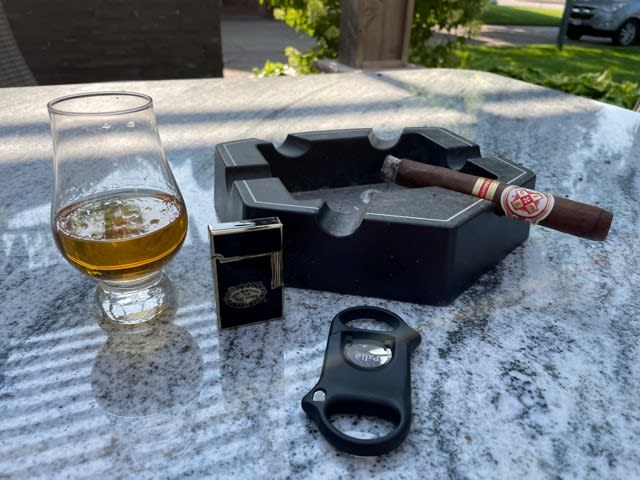 hoyo v6