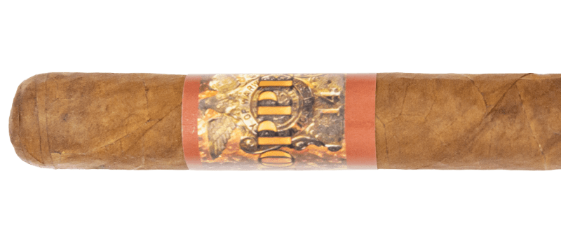 Protocol Coppers – Blind Cigar Review Image