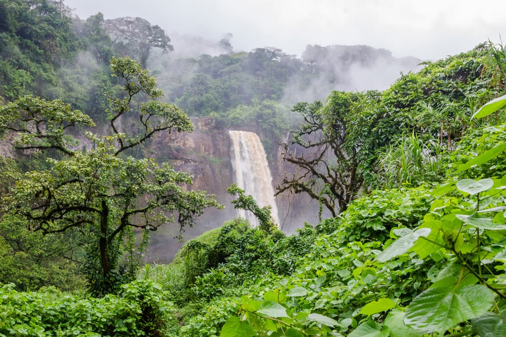 Cameroon Image 1