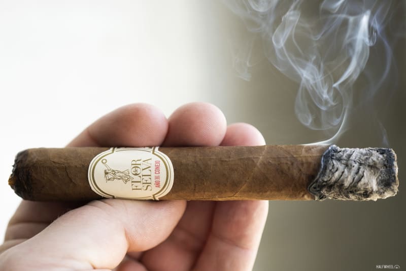 Flor de Selva Año del Conejo 2023 Image