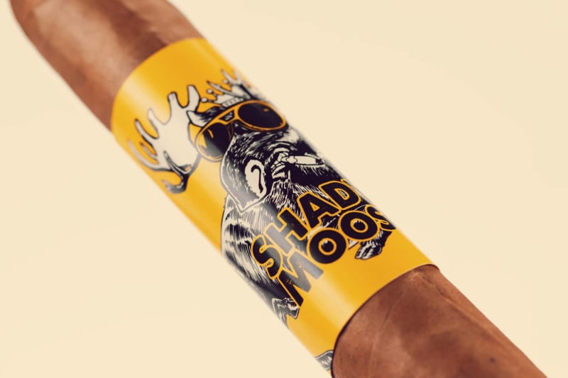Shady Moose Toro Image