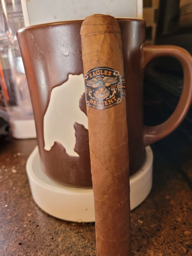 Warped Eagles Descent Toro Especial (1)