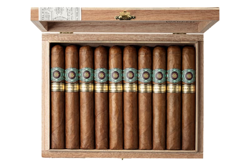 Warped’s Moon Garden Especial Coming Later This Month Image