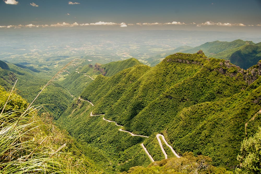 Brazilia Image 1