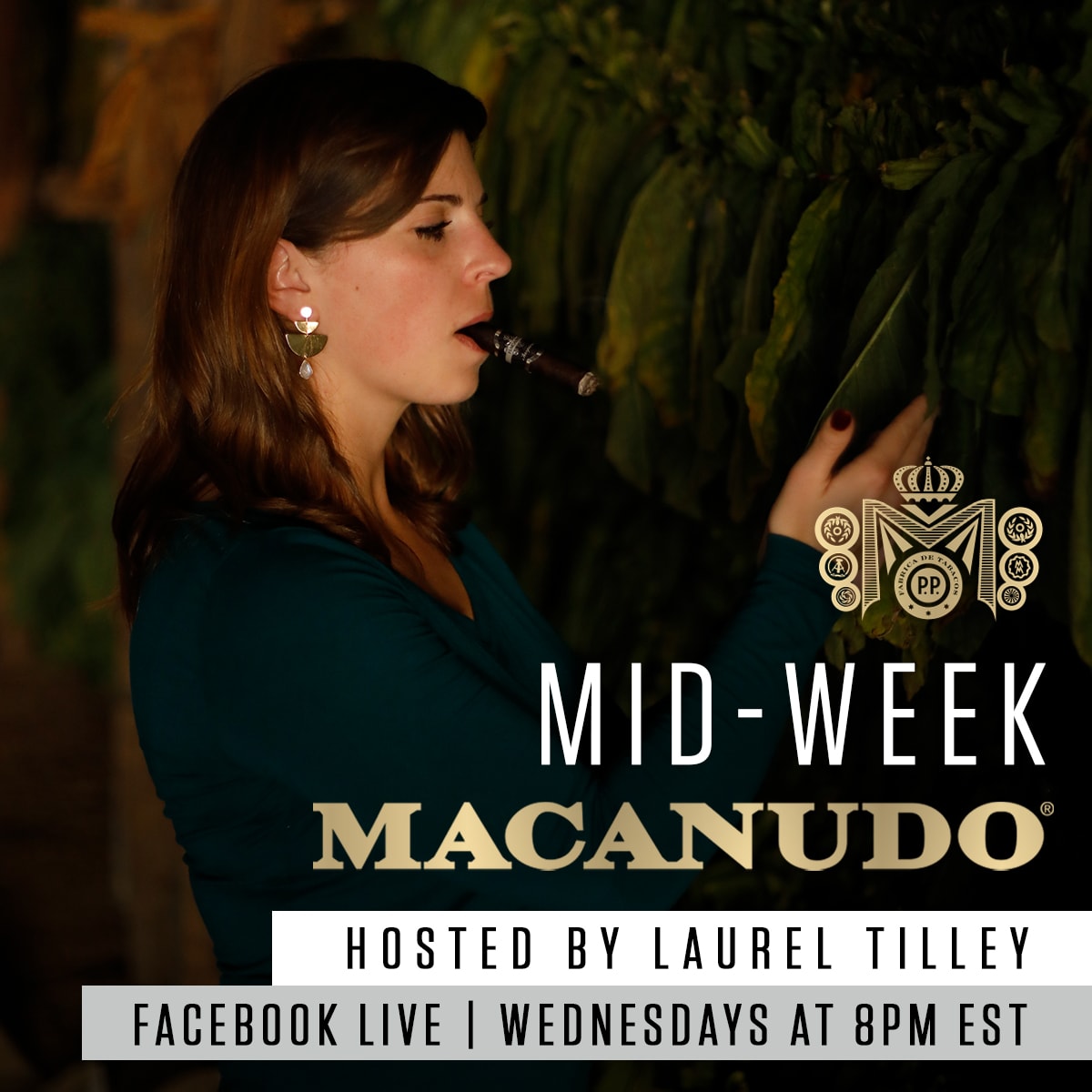 Mid-Week Macanudo with Laurel Tilley Featured Image