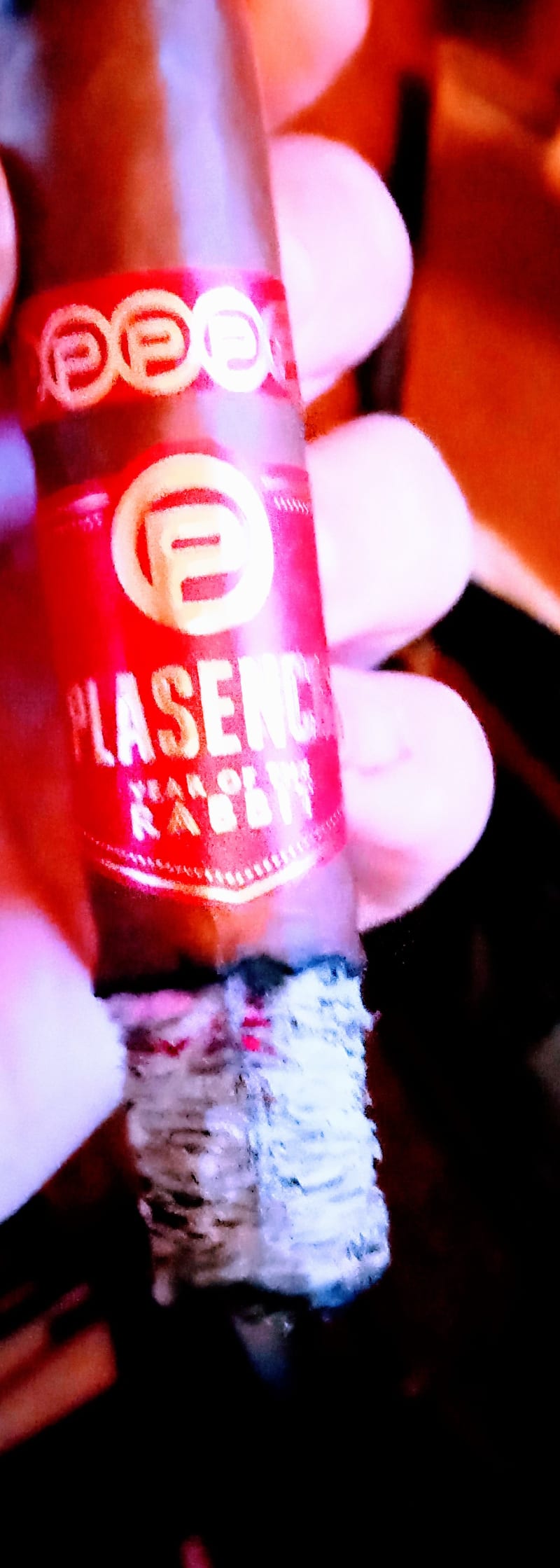 IMG 20230423 194506481