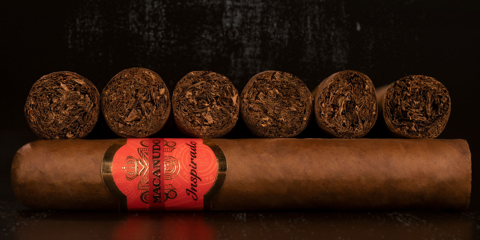 Macanudo Group Photo