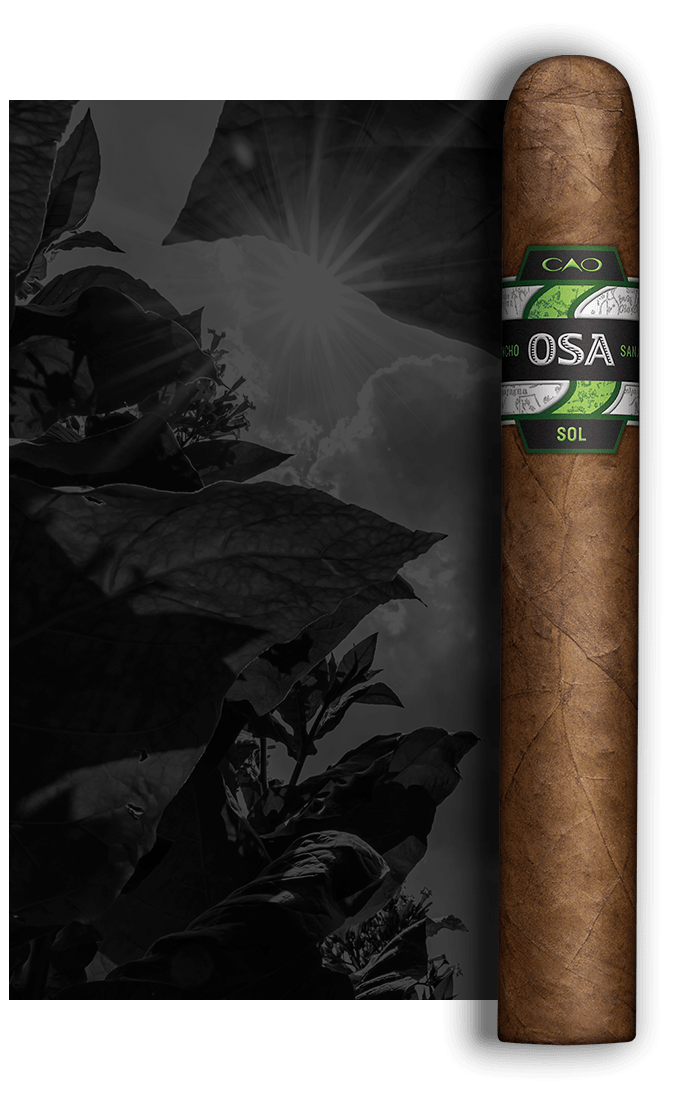 CAO OSA SOL Stick Image