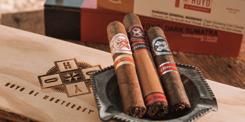 hoyo v2