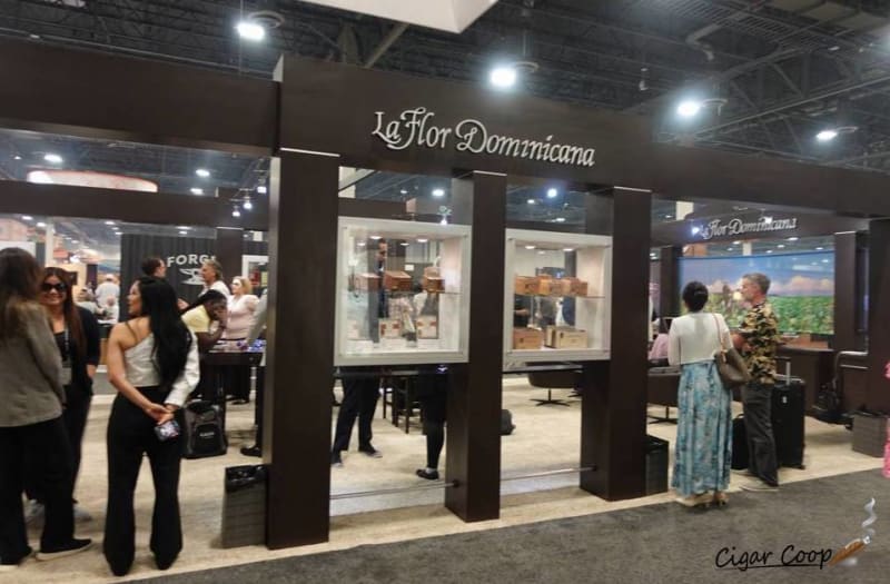 PCA 2023: La Flor Dominicana Image