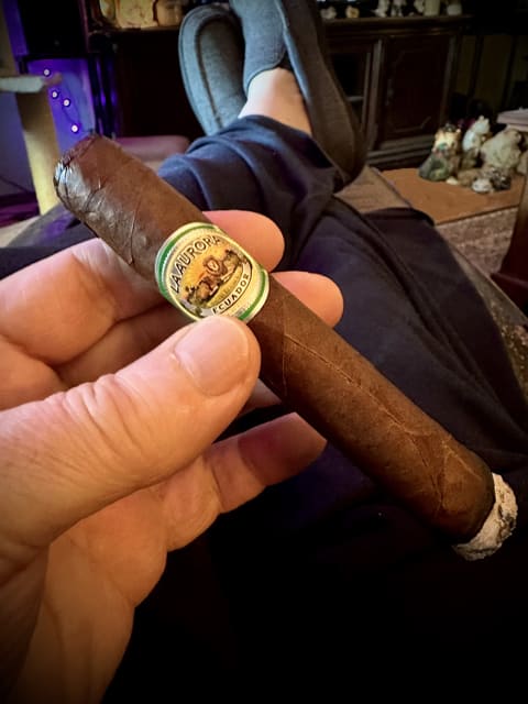 s La Aurora EXQUISITE v2