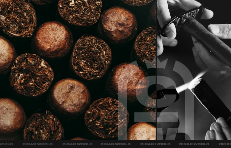 CW Blog   2026 02 27T130212.639