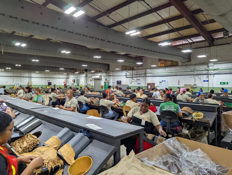 PXL 20260220 152255133.MP