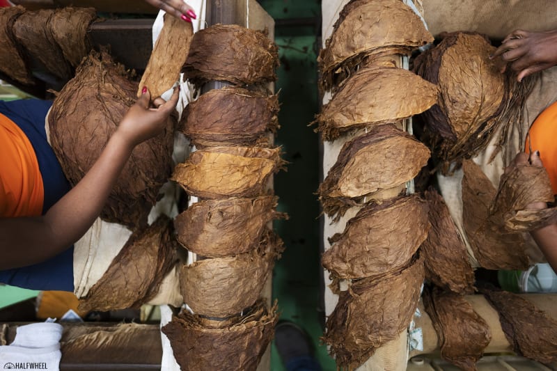 Ten Questions for 2021 Image