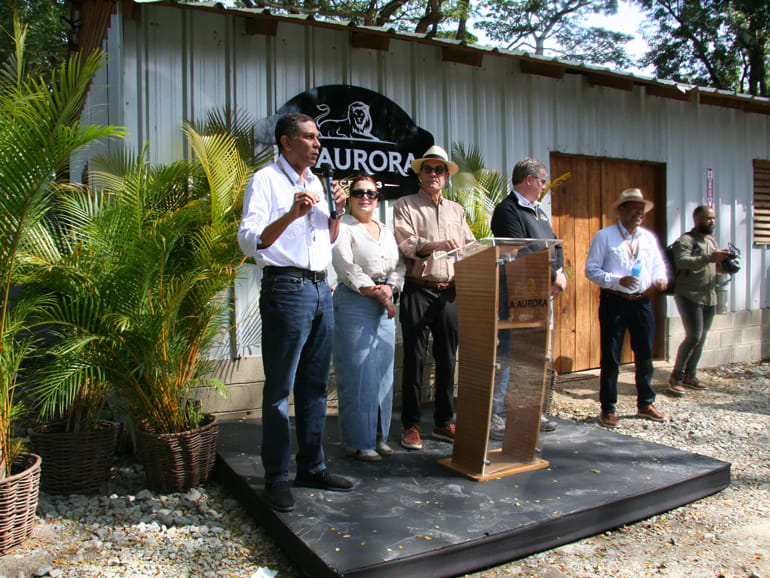 Procigar – Day 5 – A New Beginning Image