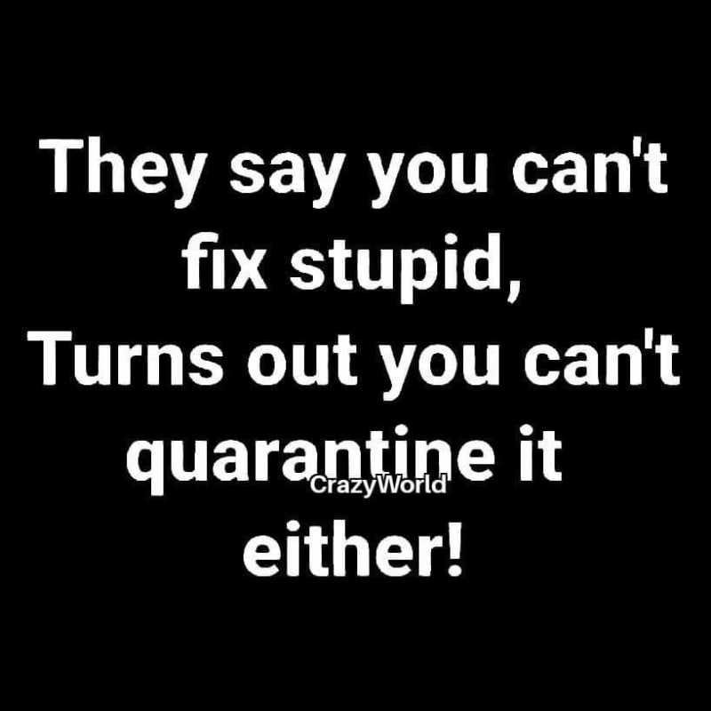 B2986A56 5DAD 4C48 8FD1 44D0B326DC7C