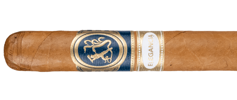 Ferio Tego Elegancia – Blind Cigar Review Image