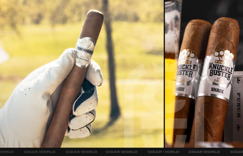 CW top everyday cigars
