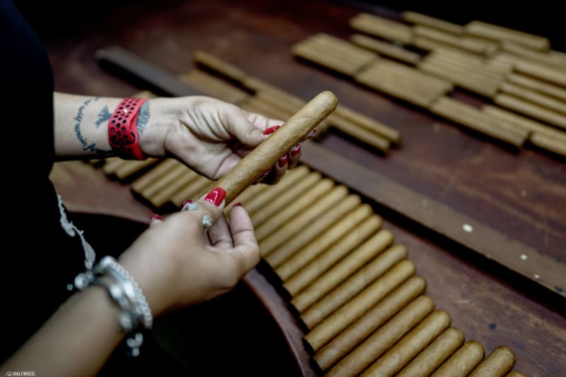 2022 Reviews in Review Image