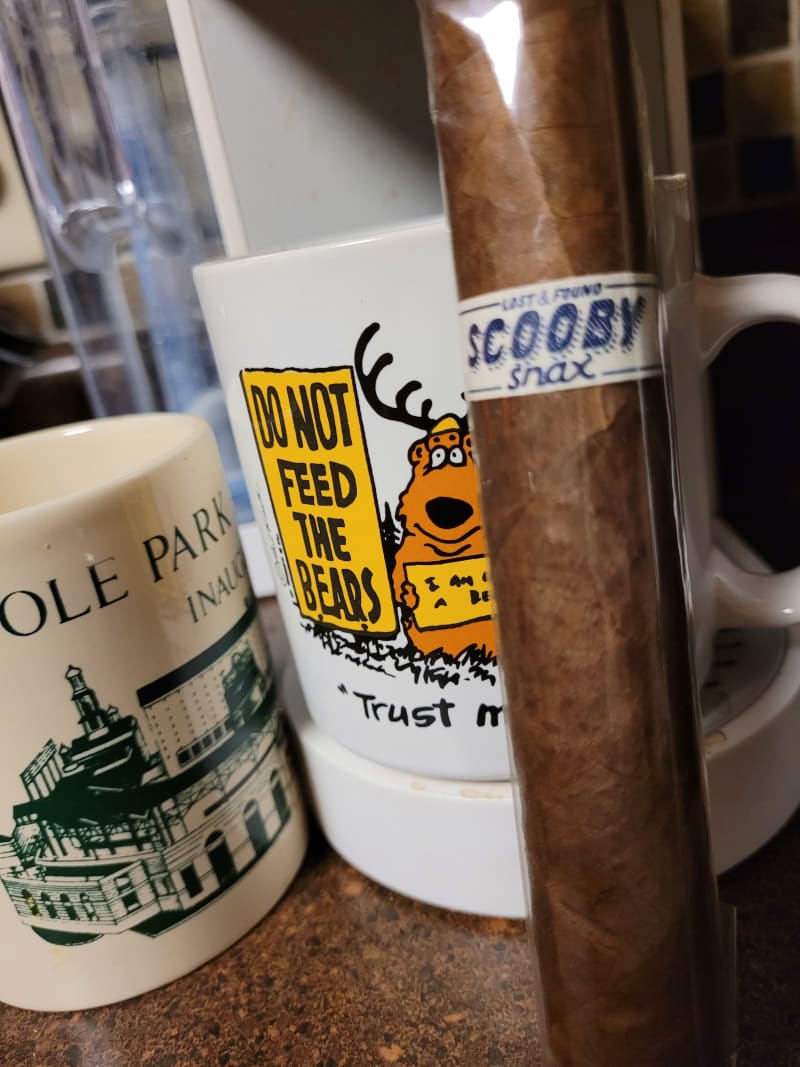 Caldwell Lost Found Scooby Snax 2