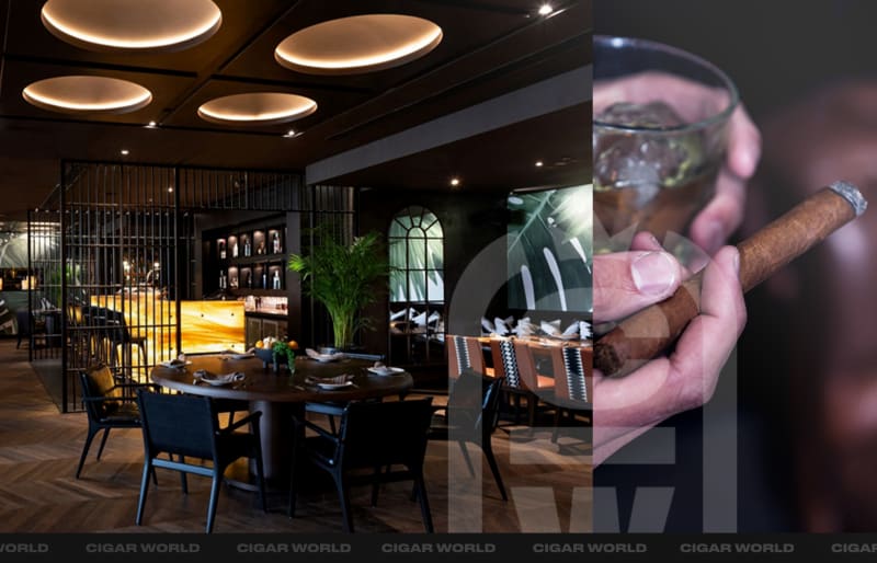 Miami Lounges CW