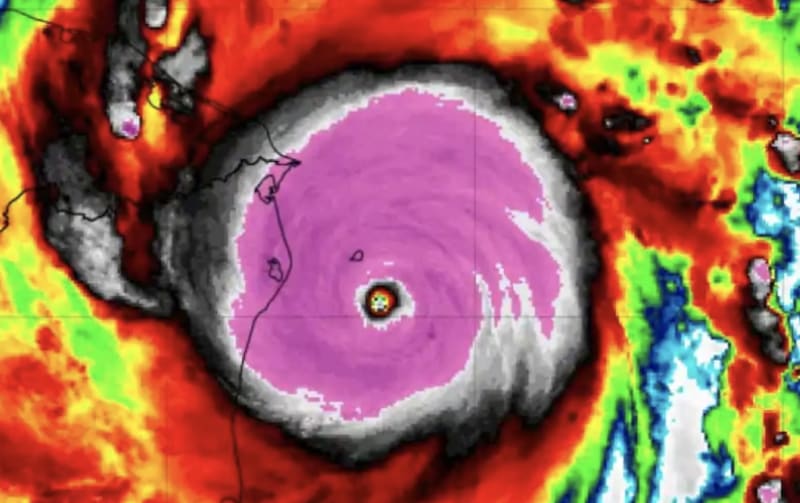 Nicaraguan Tobacco Survives Hurricane Eta Prepares for Iota Image