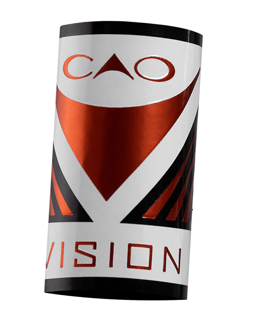 Vision 2022 Band Image