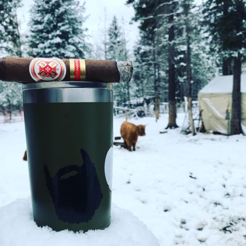 EA33FA2C 2E6D 4DF6 8647 27FFB998212C