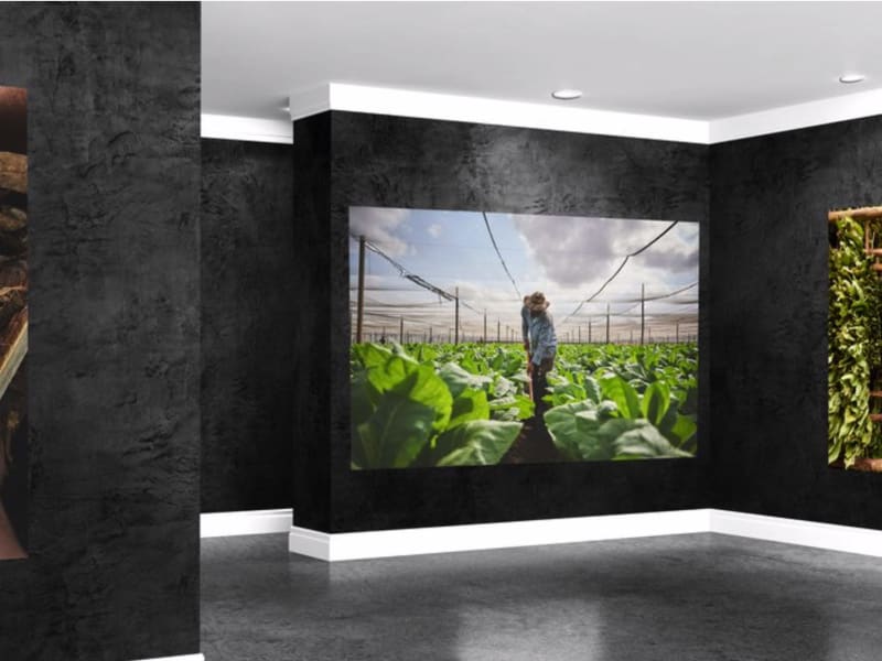 An Art Gallery Dedicated to Artistry of Cigars Image