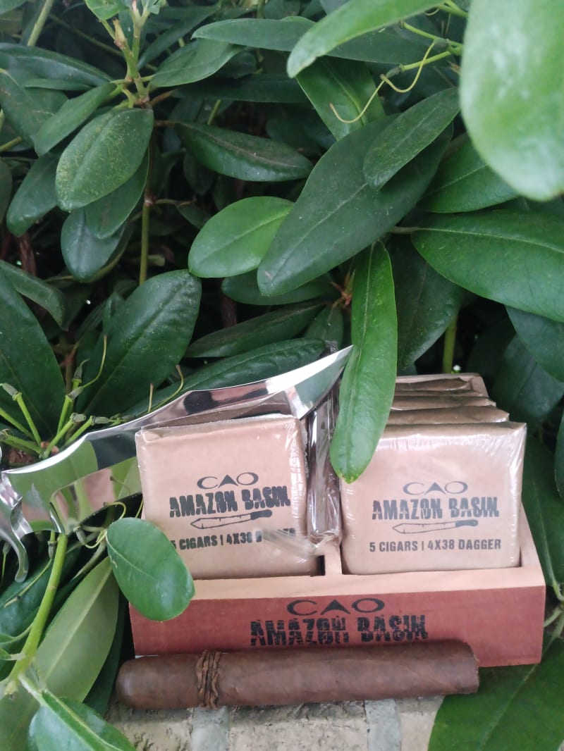 44dd0451 b1f1 4b22 8deb 19977af34889