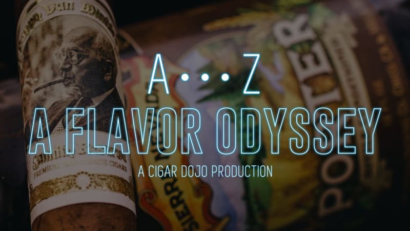 Flavor Odyssey – the Letter P Image