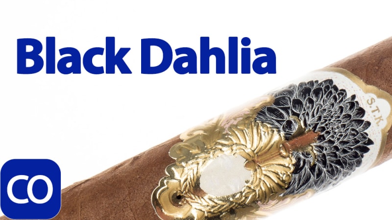 S.T.K. Black Dahlia Corona Extra Cigar Review Image