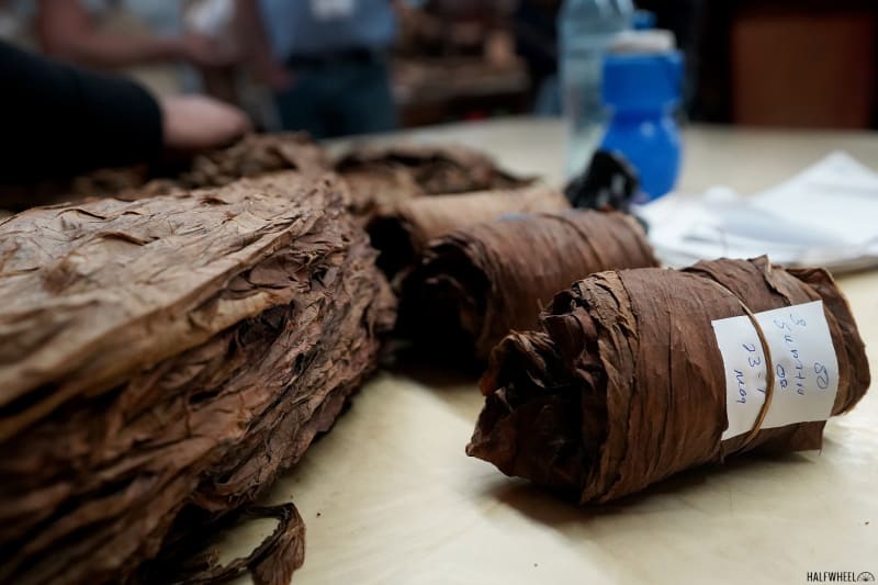 Puro Sabor 2020: Day 3 Image