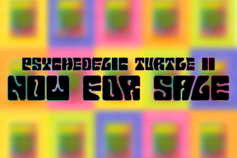 Psychedelic Turtle II Now for Sale Image