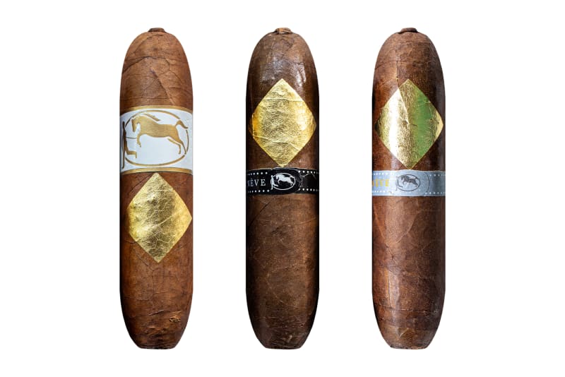 Cavalier Genève Ships Tempura Image