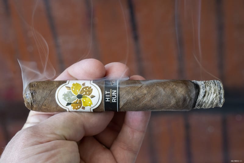 Room101 Hit & Run Redux Gordo Image