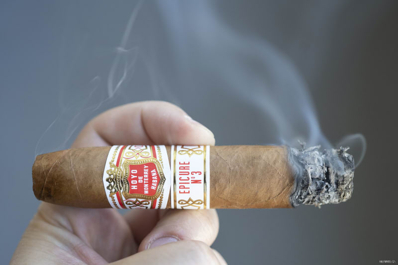 Hoyo de Monterrey Epicure No.3 2 scaled
